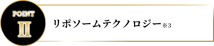 リポソームテクノロジー