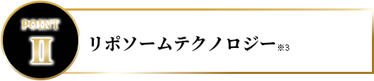 リポソームテクノロジー